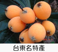 台東名特產