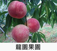 龍園果園