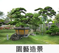 園藝造景