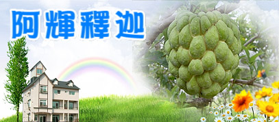 釋迦