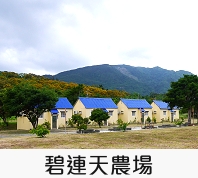 碧連天